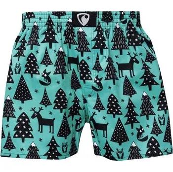 Pánské spodní prádlo Spodní prádlo Represent EXCLUSIVE ALI NIGHT FORREST Green velikost M