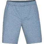 šortky Hurley DRI-FIT EXPEDITION SHORT Noise Aqua Htr velikost XL