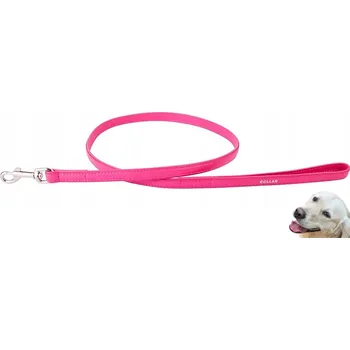 Vodítko pro psa Tradiční Collar Vodítko na obojek 1,22 m