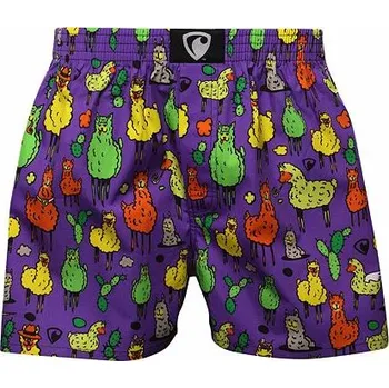 Trenýrky Spodní prádlo Represent EXCLUSIVE ALI ALPACAS Purple velikost XXL