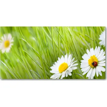 Obraz Kuchyňský panel mezi skříňky Stokrotki 140x70 + lepidlo