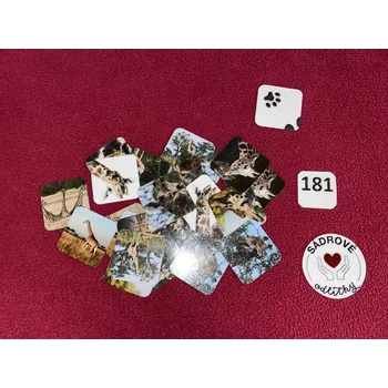 Pexeso HandMade by VeJa Menší pexeso vel.M č.181 - Žirafa 24ks)