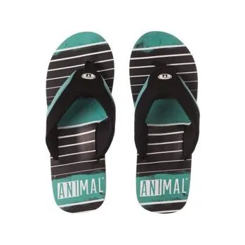 Pánská sportovní obuv Boty Animal JEKYL TORN Beryl Green velikost 47.0