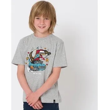 Chlapecké tričko Tričko Animal BOSSO Grey Marl velikost 5/6