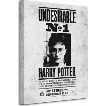 Obraz Plakát Filmový, Knižní, Magie, Harry Potter 40 x 50 cm