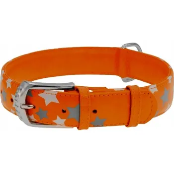 Obojek pro psa Kožený obojek pro psa WAUDOG COLLAR vel. M