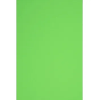 Barevný papír Barevný karton Bristol 160g zelený A2 + 10 listů