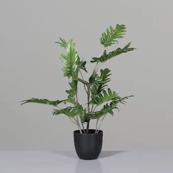 Bytová dekorace Philodendron im schwarzen Kunstofftopf, 50 cm, 8/40|Ego Dekor