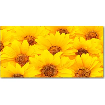 Obraz Ochranný panel Slunečnice 140x70 cm + LEPIDLO