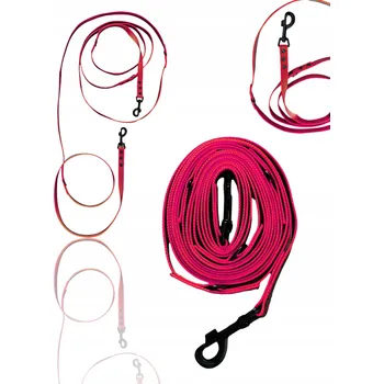 Vodítko pro psa Vodítko popruh 3 m