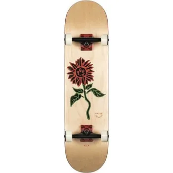 Skateboard Skateboard Globe G2 BLOOM Natural velikost 8.0