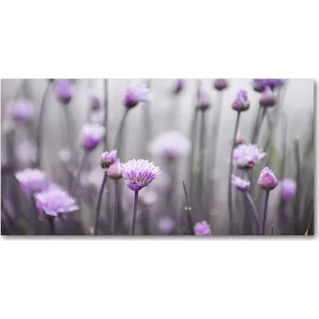 Obraz Kuchyňský panel Květy pažitky 140x70 + LEPIDLO