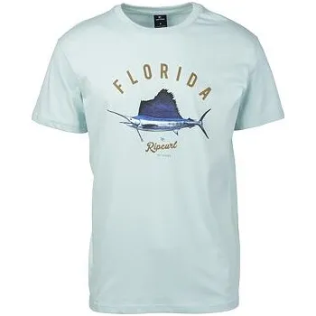 Pánské tričko Tričko Rip Curl SURFING STATES SS TEE Light Blue velikost L