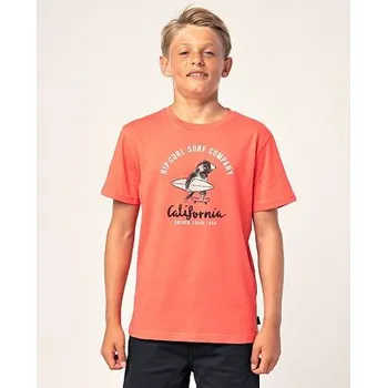 Chlapecké tričko Tričko Rip Curl ANIMOULOUS SS TEE Cayenne velikost 14
