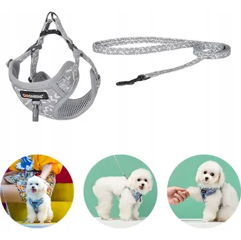 Vodítko pro psa Dogness Pohodlná Sada na Procházky Vodítko a Postroj pro Psa 1,5m do 35kg, Bez Tlačení