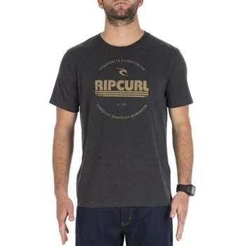 Pánské tričko Tričko Rip Curl BIG MAMA ZINC TEE Dark Marle velikost L