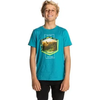 Dámské oblečení Tričko Rip Curl ACTION PALM SS TEE Barrier Reff velikost 12