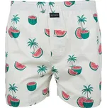 Spodní prádlo Rip Curl HAWAIIAN EASE BOXER Cream velikost M