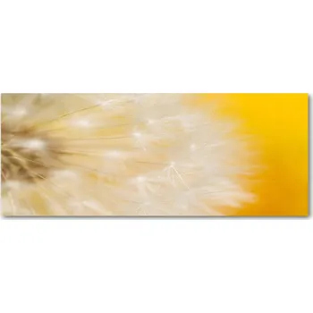 Obraz Skleněný panel Wallmuralia 50x125 cm tvrzené sklo žlutý