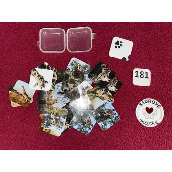 Pexeso HandMade by VeJa Mini pexeso vel.S č.181 - Žirafy (24ks)