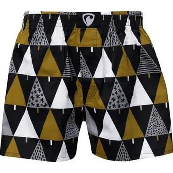 Trenýrky Spodní prádlo Represent EXCLUSIVE ALI BRONZE TREES Black velikost M