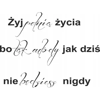 Obraz Inspirativní citát na zeď Žij plným životem Nápis do obýváku Motto 50x100