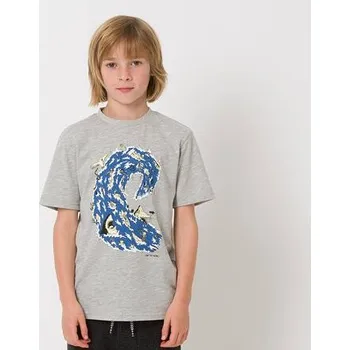 Chlapecké tričko Tričko Animal PARTY WAVE Grey Marl velikost BXS