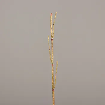 Bytová dekorace Dekorace Křídlatka, zelená/červená, 115cm|Ego Dekor