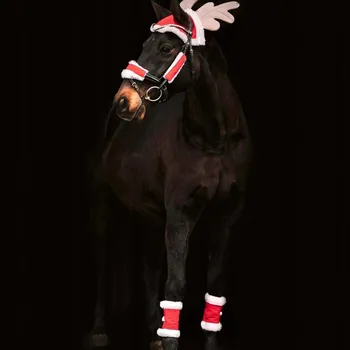 Bezpečnostní kamera Vánoční sada Bič Waldhausen