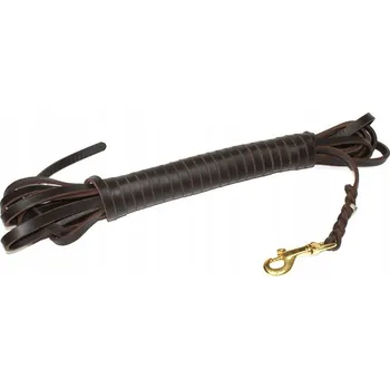 Vodítko pro psa Vodítko treningové vodítko Dingo Gear lanko 10,5 m