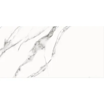 Obklad OBKLAD SPECIAL MARBLE WHITE GLOSSY 29,8X59,8 #253