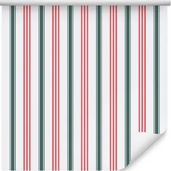 Tapeta Moderní tapeta s barevnými svislými pruhy, do obýváku
