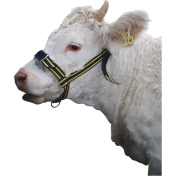 Chov hospodářského zvířete Ohlávka pro krávy kožená s uvazem