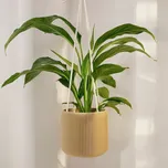 Plantbee Závěsný květináč Umbert 20cm zlatá
