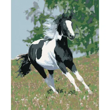 zuty Malování podle čísel - Běžící strakáč, 80x100 cm, bez rámu a bez vypnutí plátna