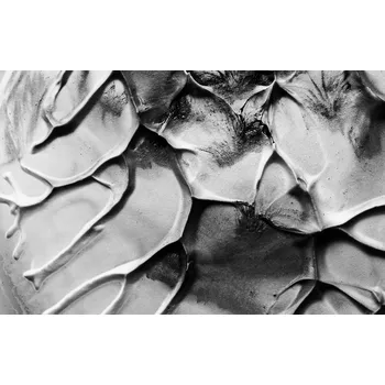 Fototapeta Vliesová tapeta 380 cm x 254 cm