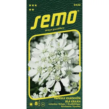 Semeno SEMO Paprska velkokvětá bílá krajka 1 g