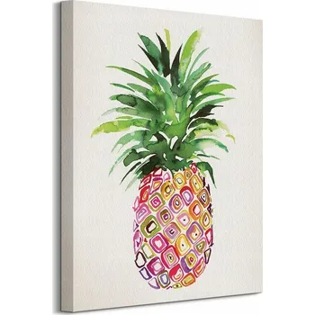 Obraz Barevný Ananas - obraz na plátně 40x50 cm