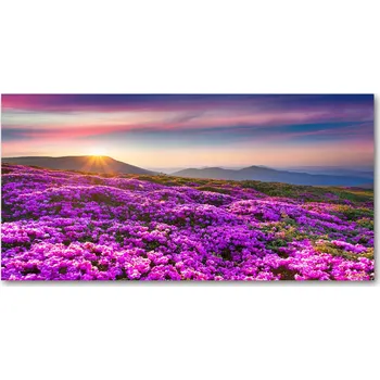 Obraz Kuchyňský panel Květiny v horách 100x50 cm + LEPIDLO