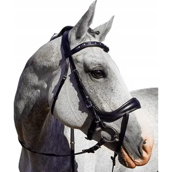 Balotade Andiamo anatomická Ohlávka 3 (plná)