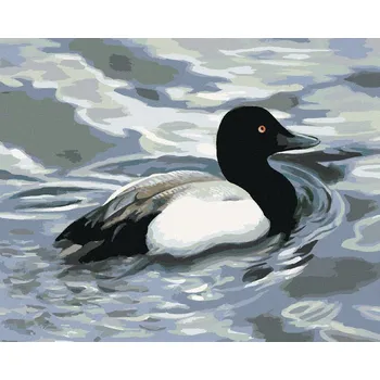 zuty Zuty - Malování Podle Čísel - Kachna Na Vodě (D. Rusty Rust), 40X50 Cm, Plátno+Rám