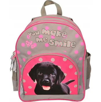 Obraz Školní batoh jednokomorový Paso odstíny šedé a stříbrné, růžový