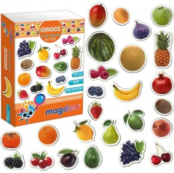 Obraz Ovoce - sada magnetů