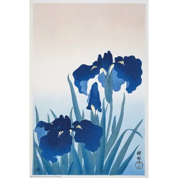 Plakát Plakát, Obraz - Ohara Koson - Iris Flowers