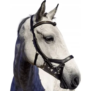 Ohlávka Balotade Azur anatomické 1 (pony)