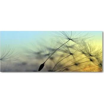 Obraz Lacobel pod skříňky do kuchyně Semena pampelišky XXL