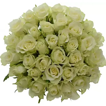 umělá květina Kytice 35 bílých růží ATHENA 50 cm