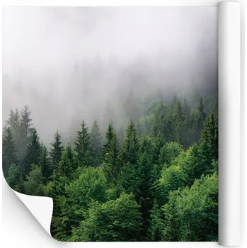 Fototapeta Fototapeta laminovaná Wallarena omyvatelná 100x100 cm horizontální