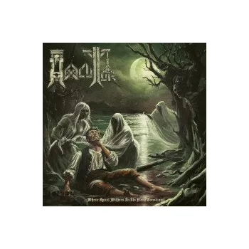 Zahraniční hudba Where Spirits Withers In Its Flesh Constr. / Vinyl - Hexecutor [LP]