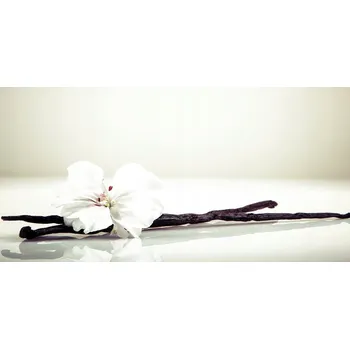 Obraz Kuchyňský panel Laska wanilky 120x60 cm + LEPIDLO